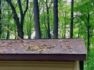 Tree branch damage on an asphalt shingle roof puncturing a hole in the roof. 