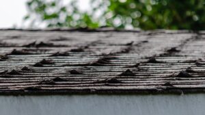 Curling shingles on an asphalt shingle roof